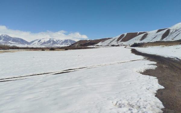 Жумгалда мыйзамсыз берилген 2 гектар жер мамлекетке кайтарылды