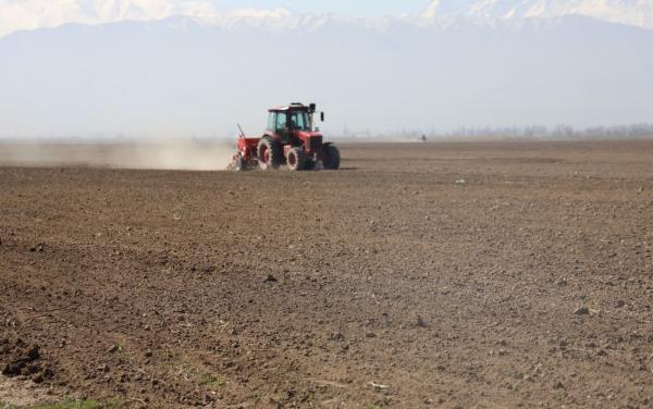 Кыргызстанда жазгы талаа иштери: айдоо 15,7% аткарылды