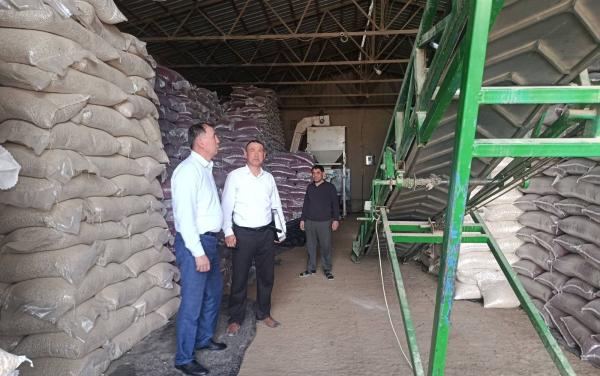 Жеңилдетилген насыя алгандар текшерилди