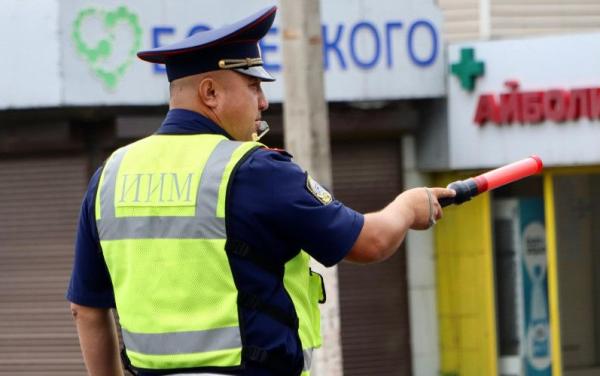 Бишкекте агрессивдүү жаран 5 суткага камакка алынды