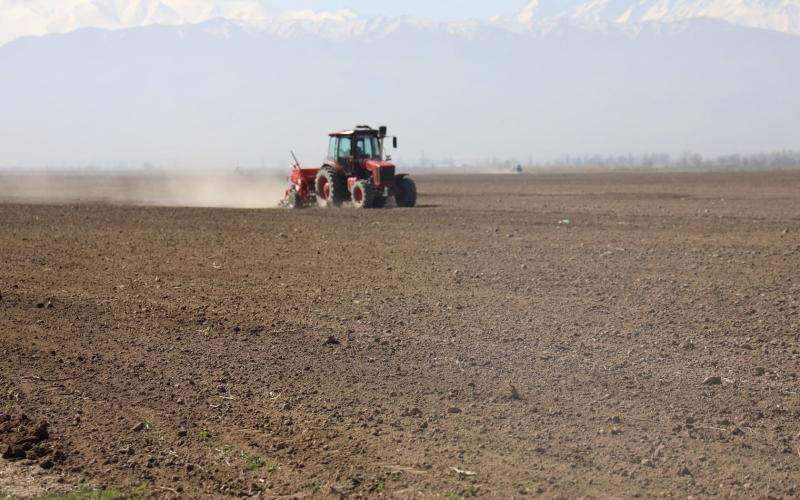 Кыргызстанда жазгы талаа иштери: айдоо 15,7% аткарылды