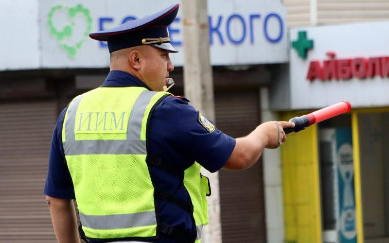 Бишкекте агрессивдүү жаран 5 суткага камакка алынды