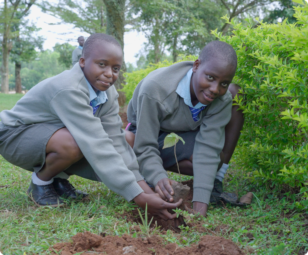 students planting image