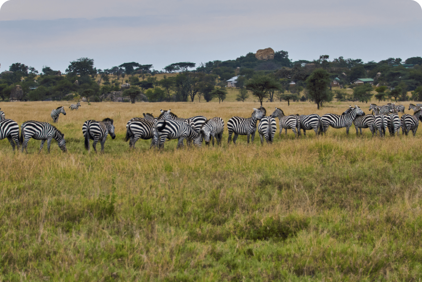 Kenya Natural Adventures