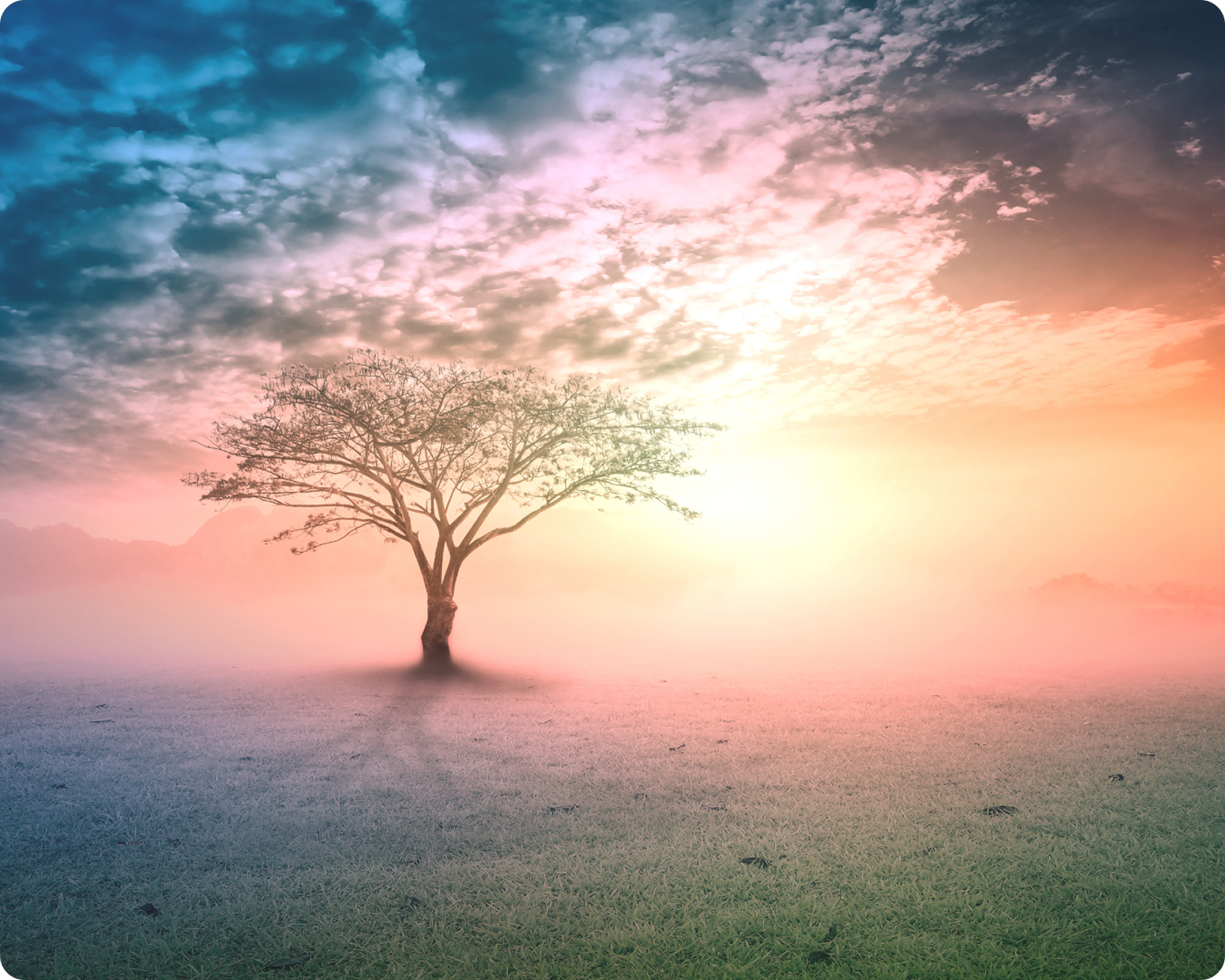 Week 2: UHUSIANO - Healing Relationships image