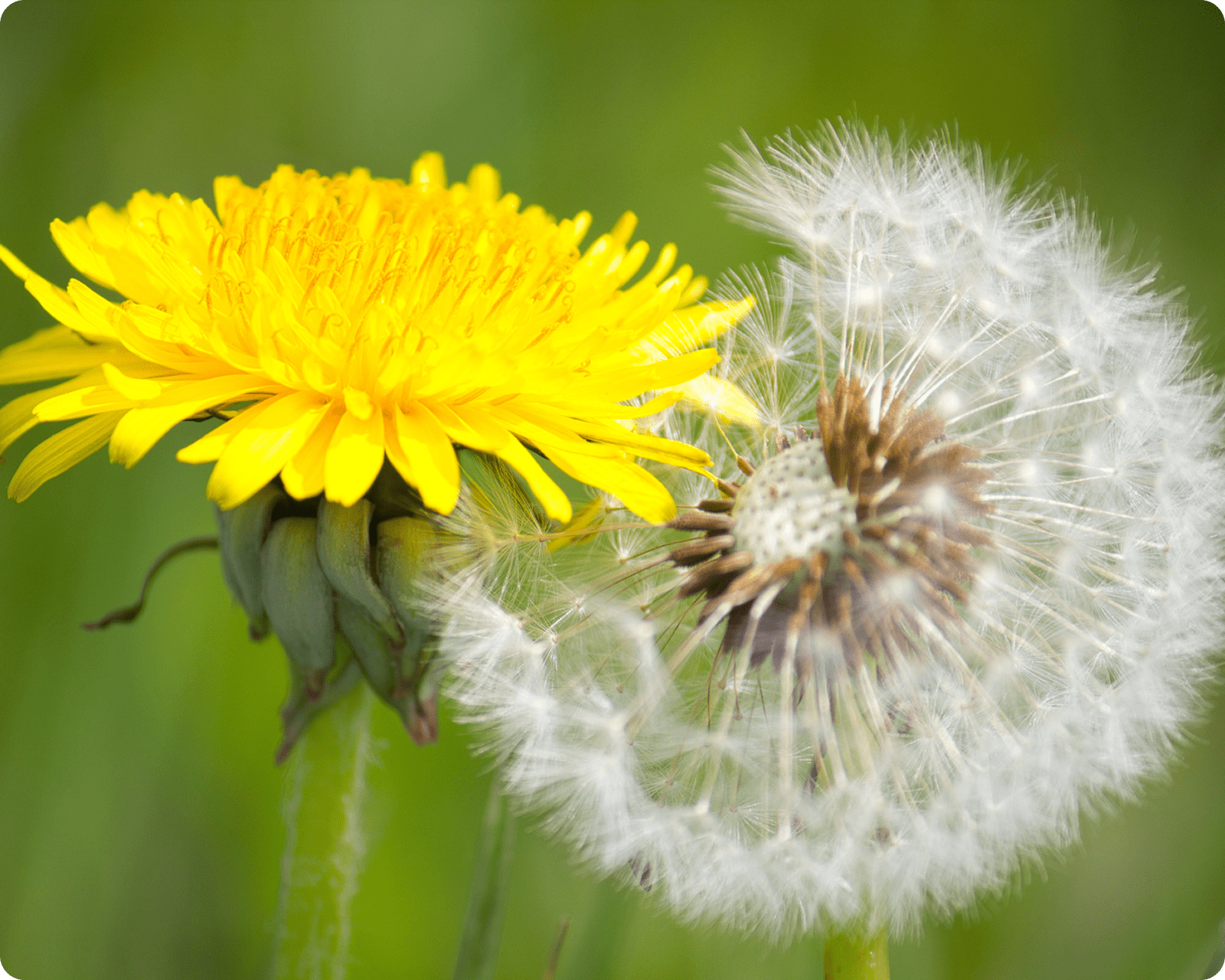 Week 3: MABADILIKO - Transforming Thoughts image