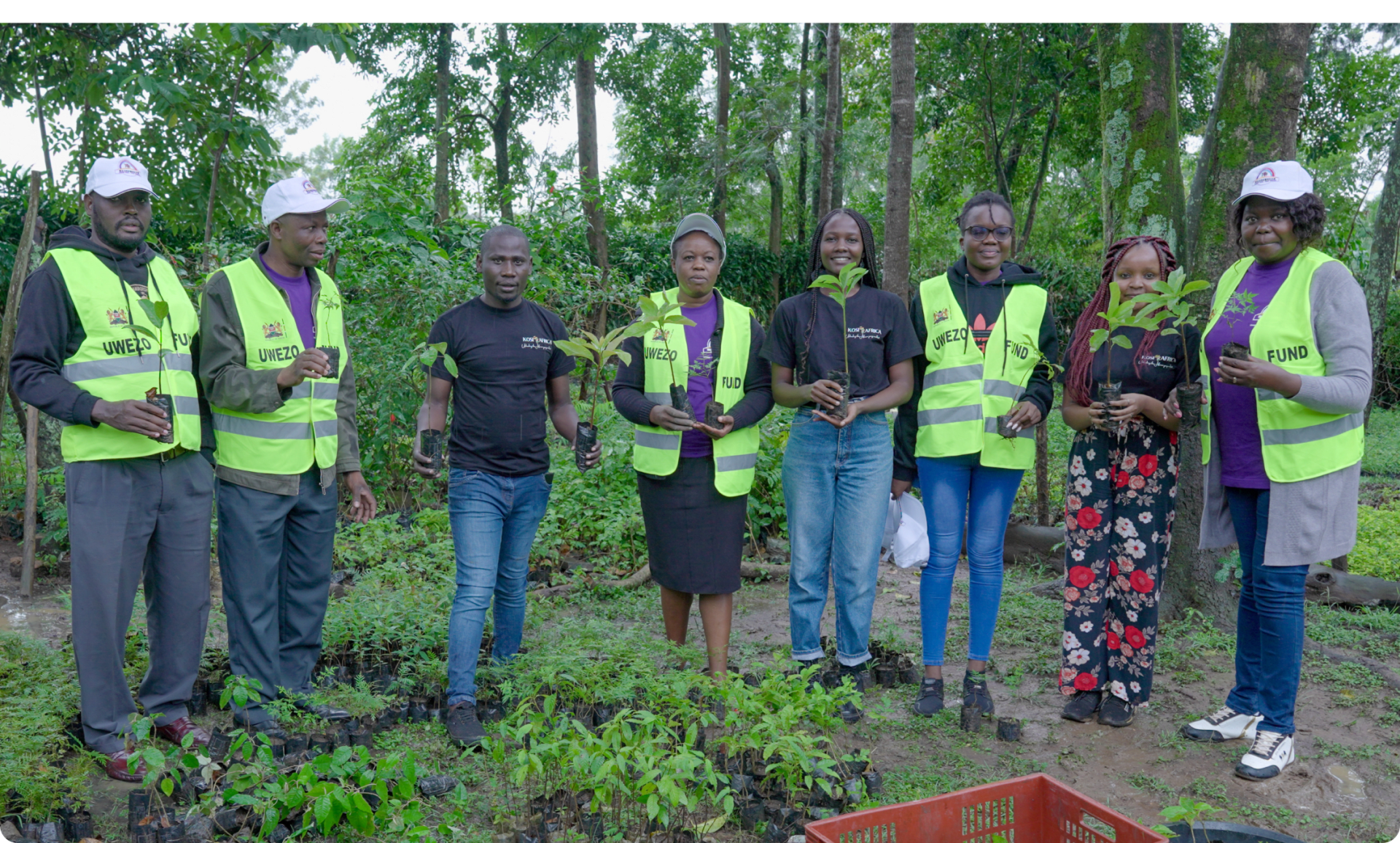 partnership hero image