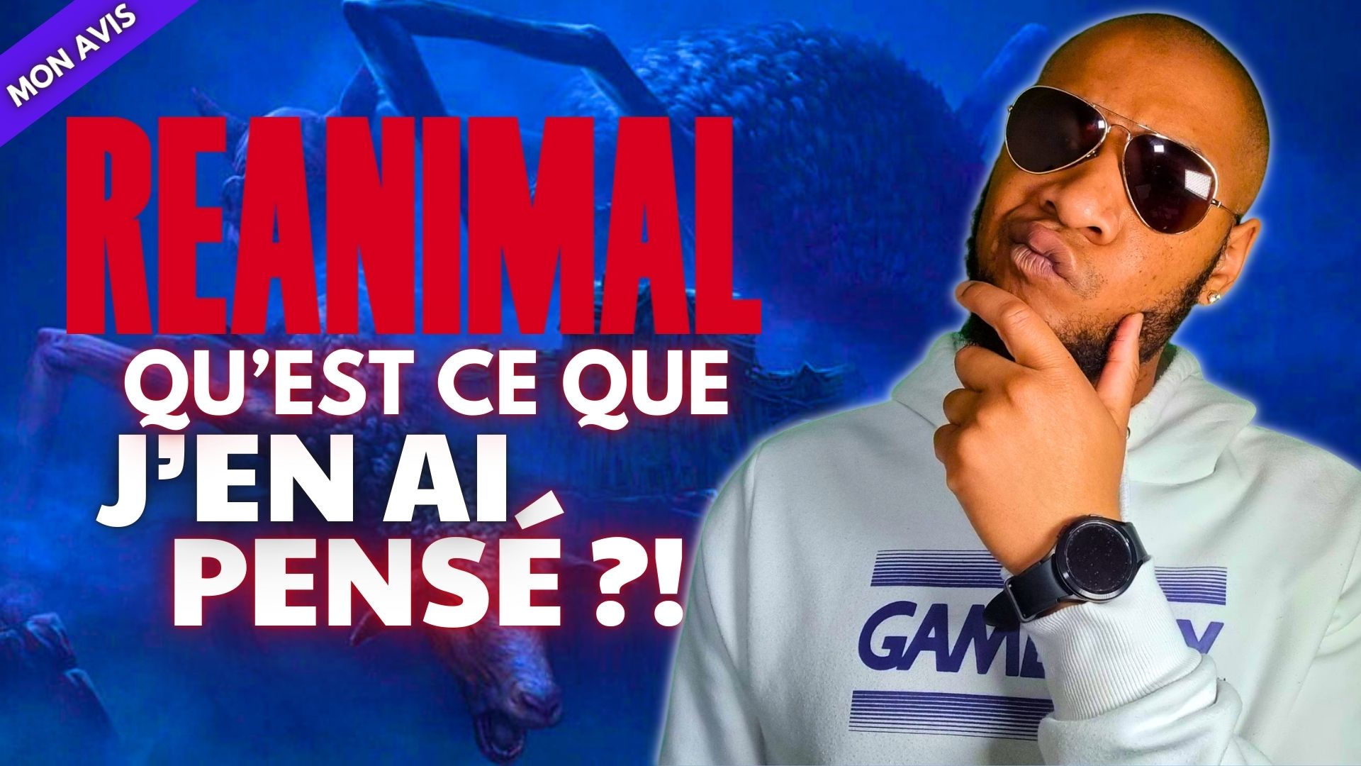 ARUNO NOUS PARTAGE SON AVIS DE GAMER SUR REANIMAL