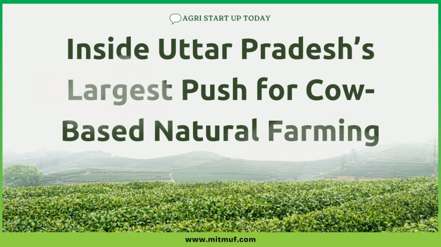 Featured image for Inside Uttar Pradesh’s Largest Push for Cow-Based Natural Farming
