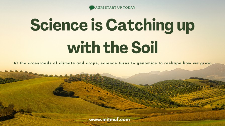 Featured image for Science Is Catching Up with the Soil