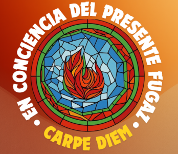 organización descomprimida ®️