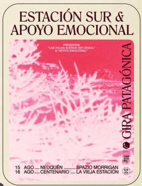 ESTACION SUR - APOYO EMOCIONAL - LAS DENSAS