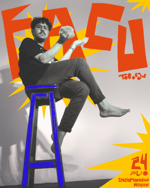 Facu tobogan
