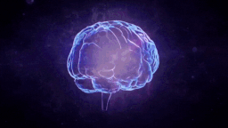 Data Driven Brains