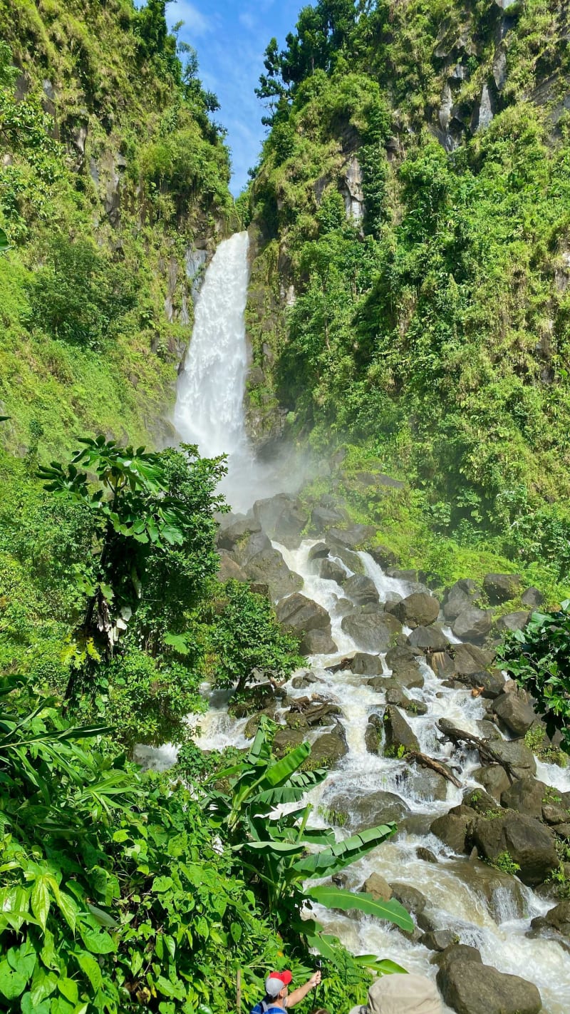 Dominica