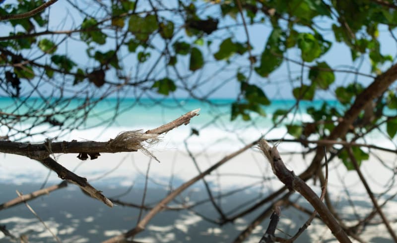 Solomon Islands