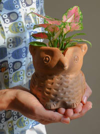 Hedwig Terracotta Planter- Seconds Sale