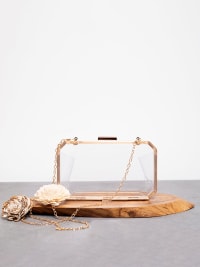 Sheer Elegance Transparent Clutch-Clutch