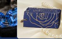 Saree Pleat Maker - 6P-MEDIUM / NORMAL (premium)-Navy Blue