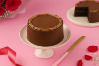 Belgian truffle bento cake