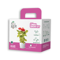 Zinnia Kit