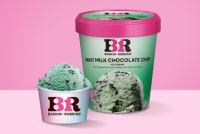 Mint Milk Chocolate Chips Ice Cream