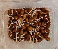 Ruchira Sprouts Chana 250 Gms