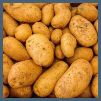 Potato