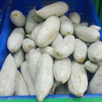 Snake Gourd(Small) - 500 Gms