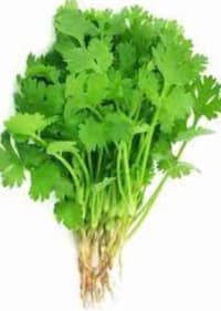 Coriander Leaves - 500 Gms