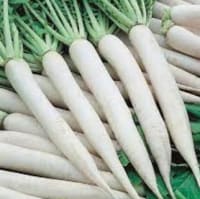 Radish - 250 Gms