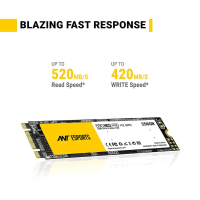 ANT Esports 690 Neo Pro M.2 NVMe 256GB SSD,Speed Upto 1800MB/s of Read, 1100MB/s of Write