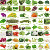 FLARE SEEDS No.1 Organic, Winter, Summer, Home Garden, Seeds Bank, Vegetable 60 Seeds Combo