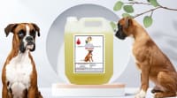 Swacch Shampoo Specially Formulated for Boxer (10 Litre) Lemon