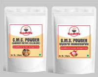foodfrillz GMS Powder & CMC Powder for Ice Cream | for Ice Creams | Food Grade - (100 g x 2)
