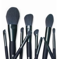 STARSTRUCK BY SUNNY LEONE Makeup Brush Set of 10 with pouch | Professional Brush kit for Makeup