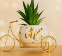 Decorative Ceramic Planter with Gold Bicycle Frame