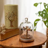 Crystal Chakra Tree | Encased Gemstone Bonsai for Healing, Energy Balance, Meditation | Spiritual Tree of Life with Natural Crystals for Positive Vibes | Perfect for Gift & Home Décor