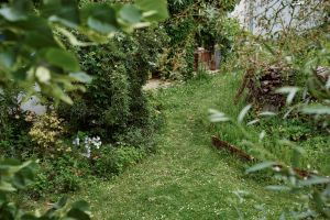 Slow Gardening