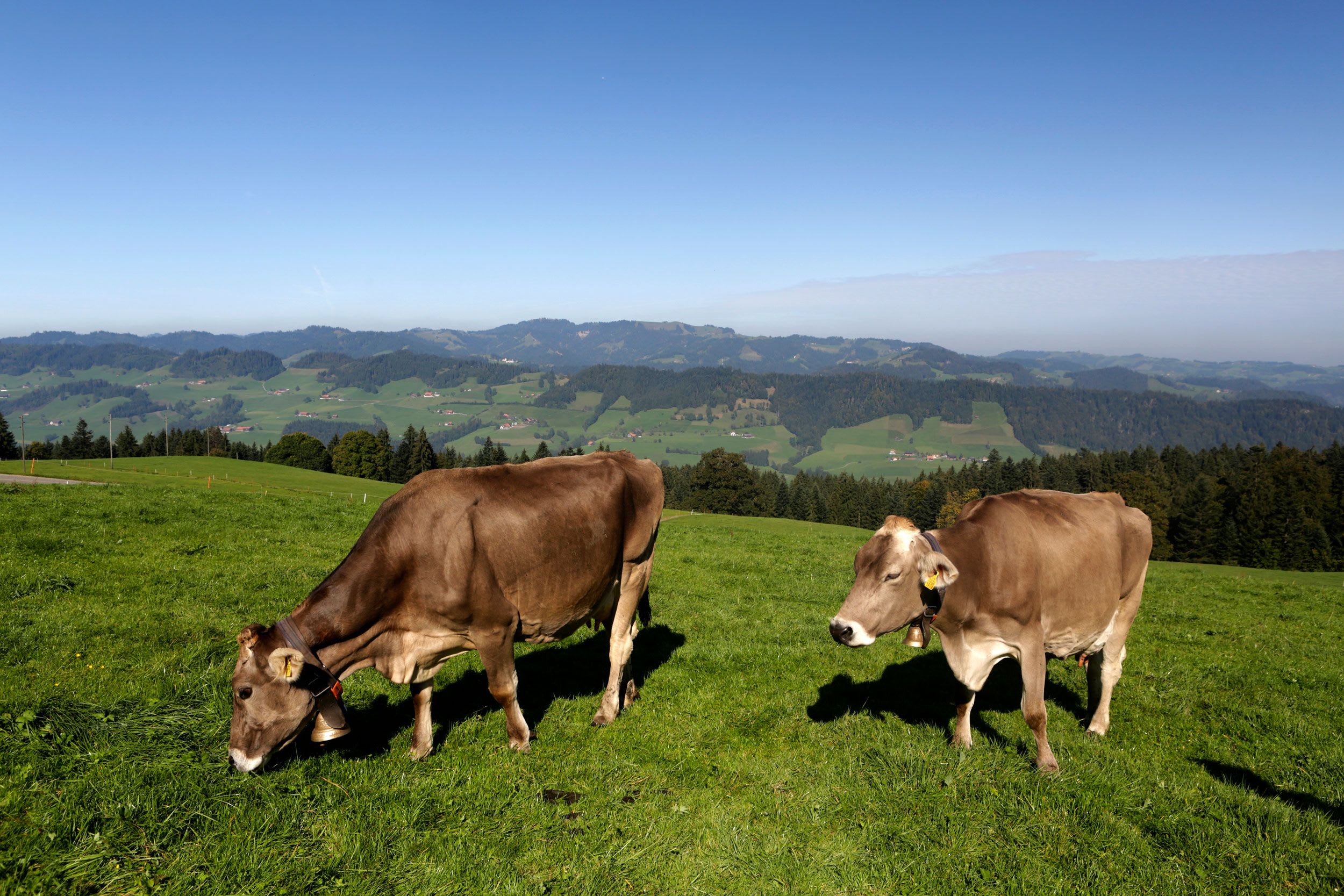 Entlebuch Bild