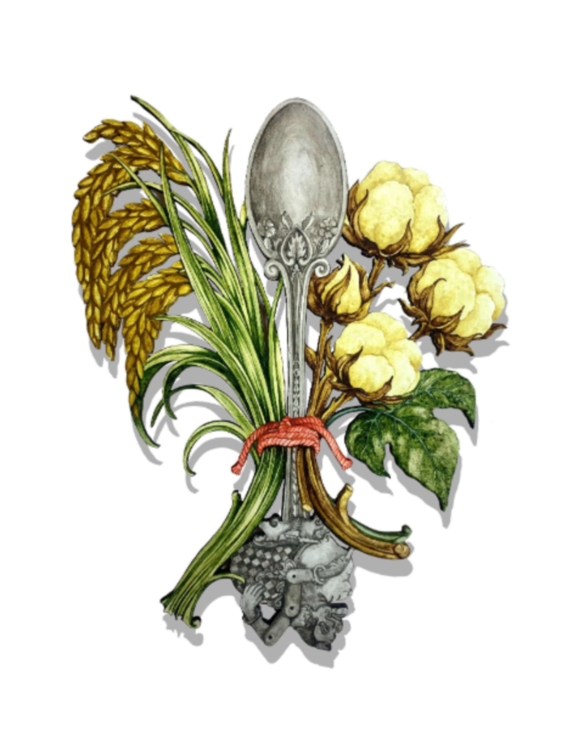 Tanpa Palupi