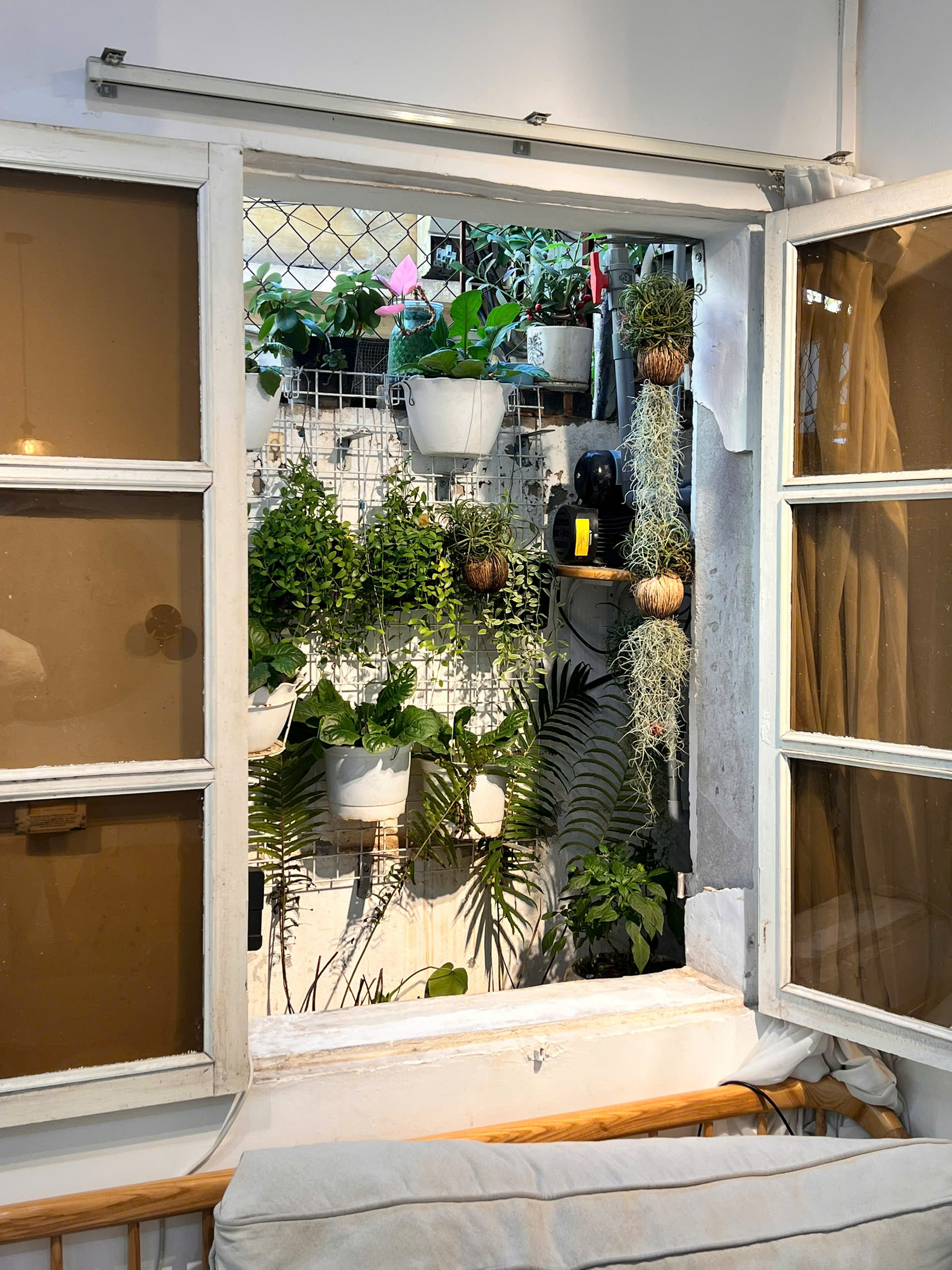 z7260847047408_7003d55218ec4bdc8100c22234d58b38 z7260847047408_7003d55218ec4bdc8100c22234d58b38