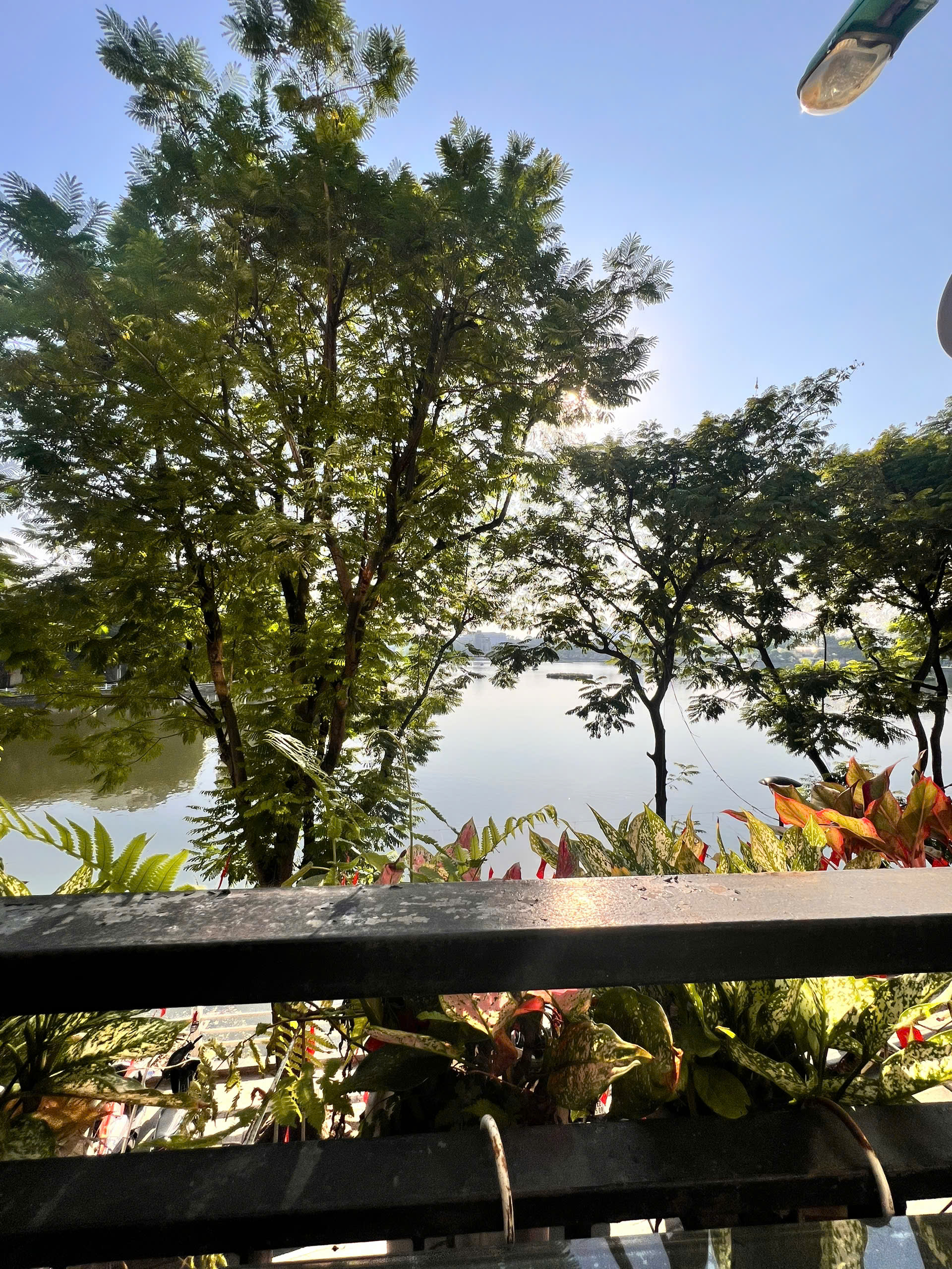 z7261048538331_0076e1231011f070aa1a6230c76de02d