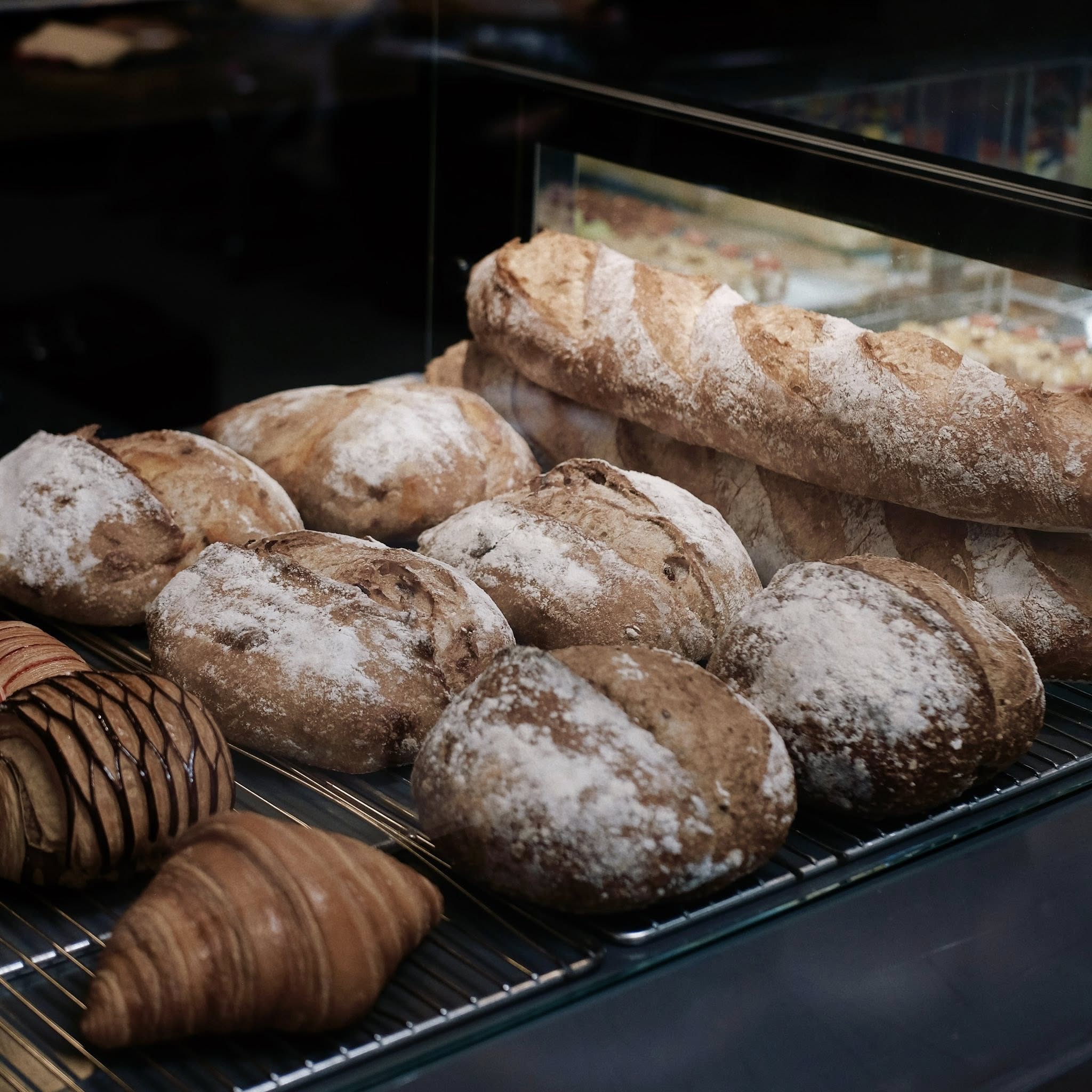 577837287_1438942948111723_8311929553674408719_n