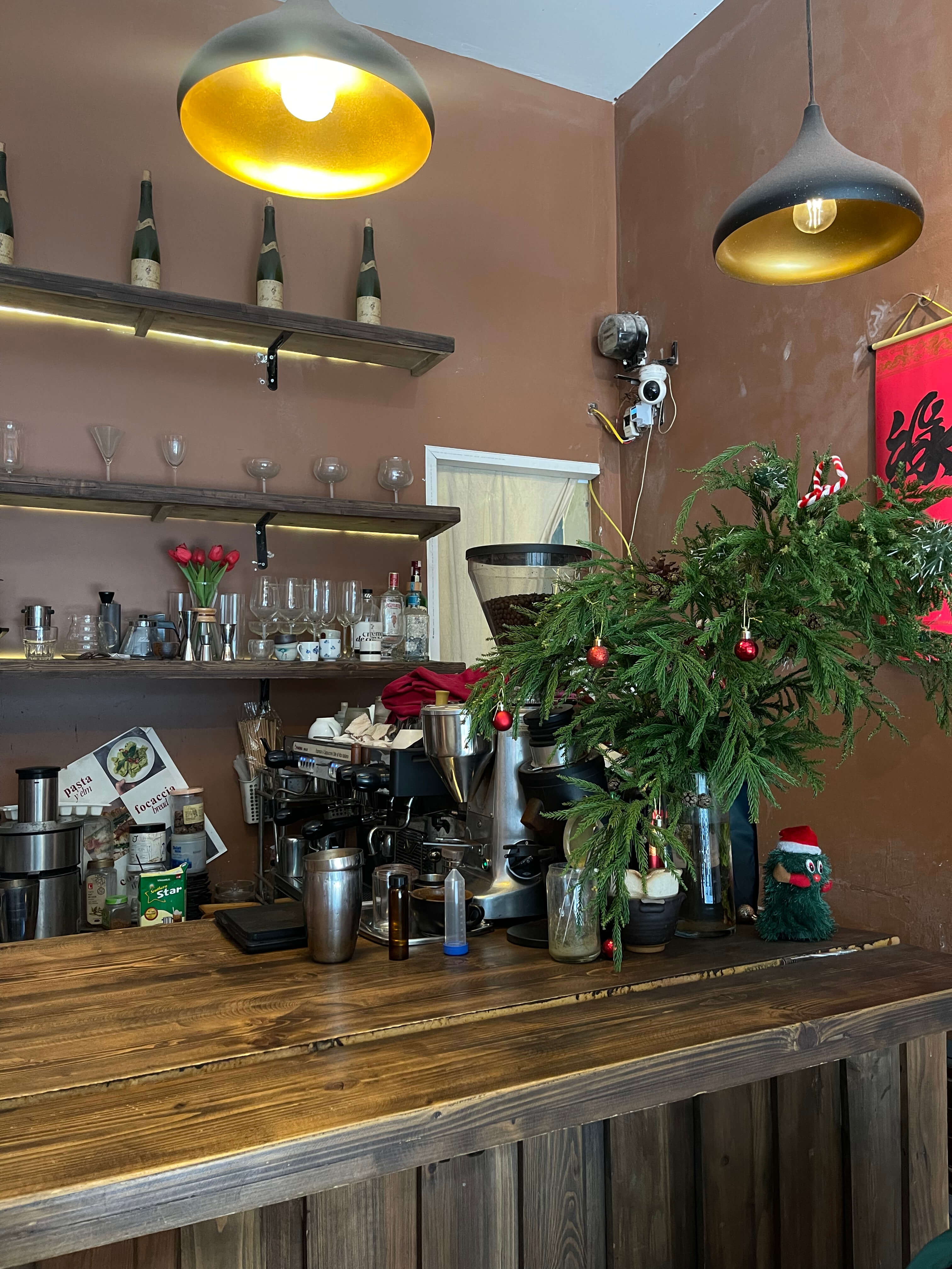 IMG_5130-2 IMG_5130-2