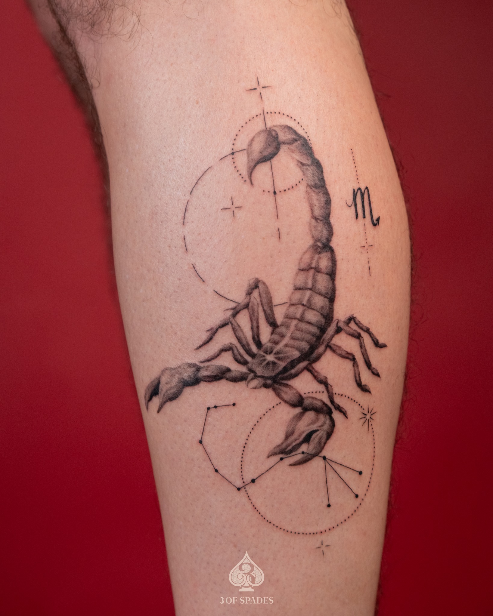 594669031_122219190938053364_7629115730435554713_n 594669031_122219190938053364_7629115730435554713_n