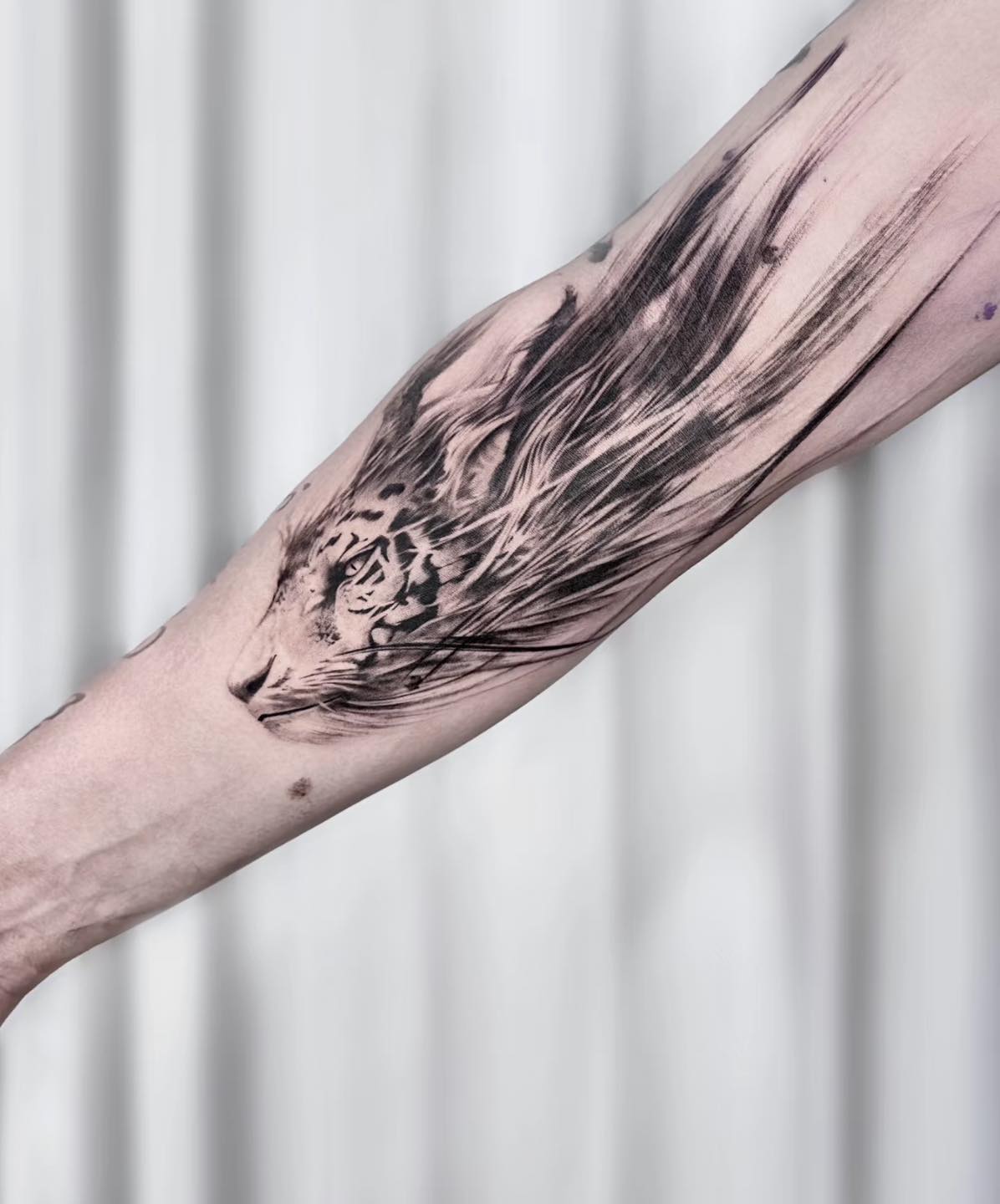 595072834_824918750382310_6555724870274238840_n 595072834_824918750382310_6555724870274238840_n