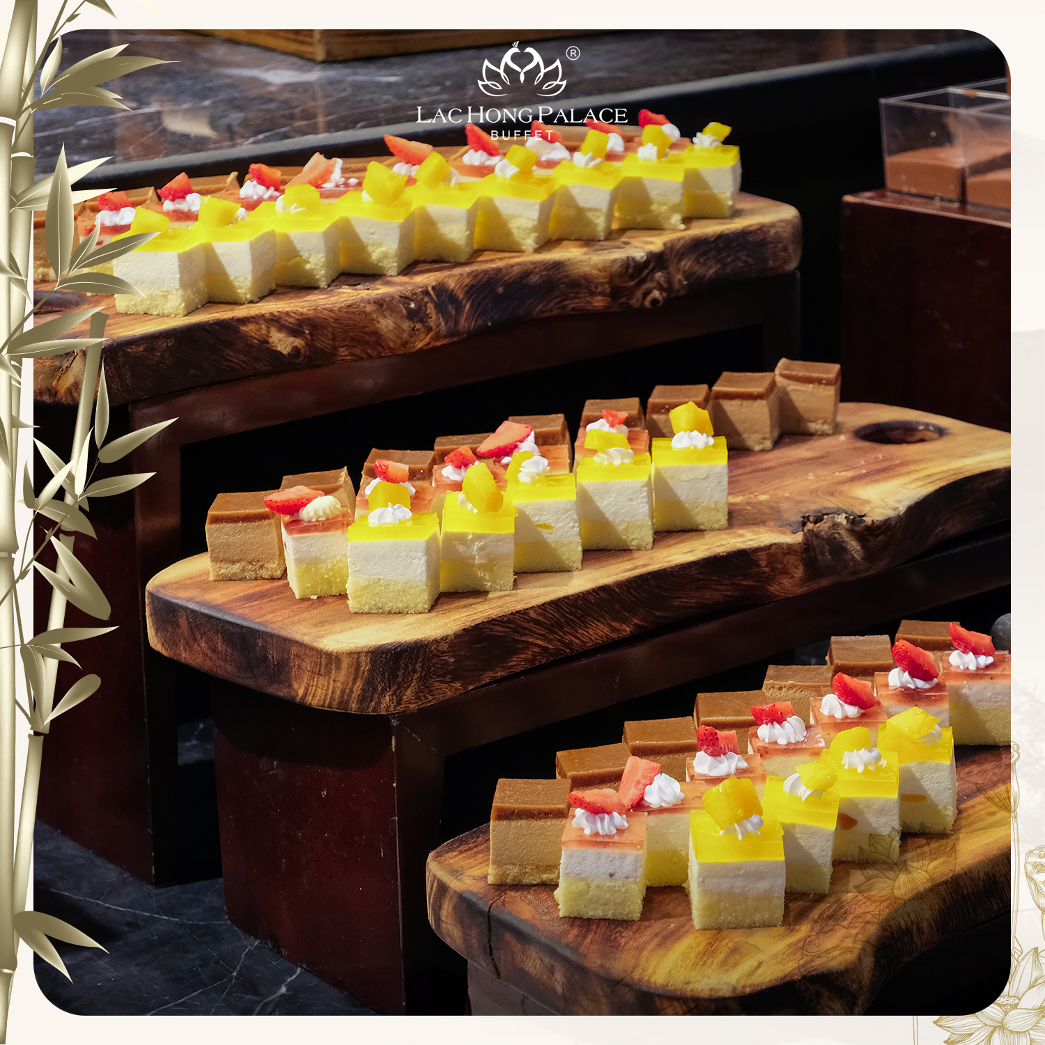 489949725_510791905441855_8594877611180443843_n