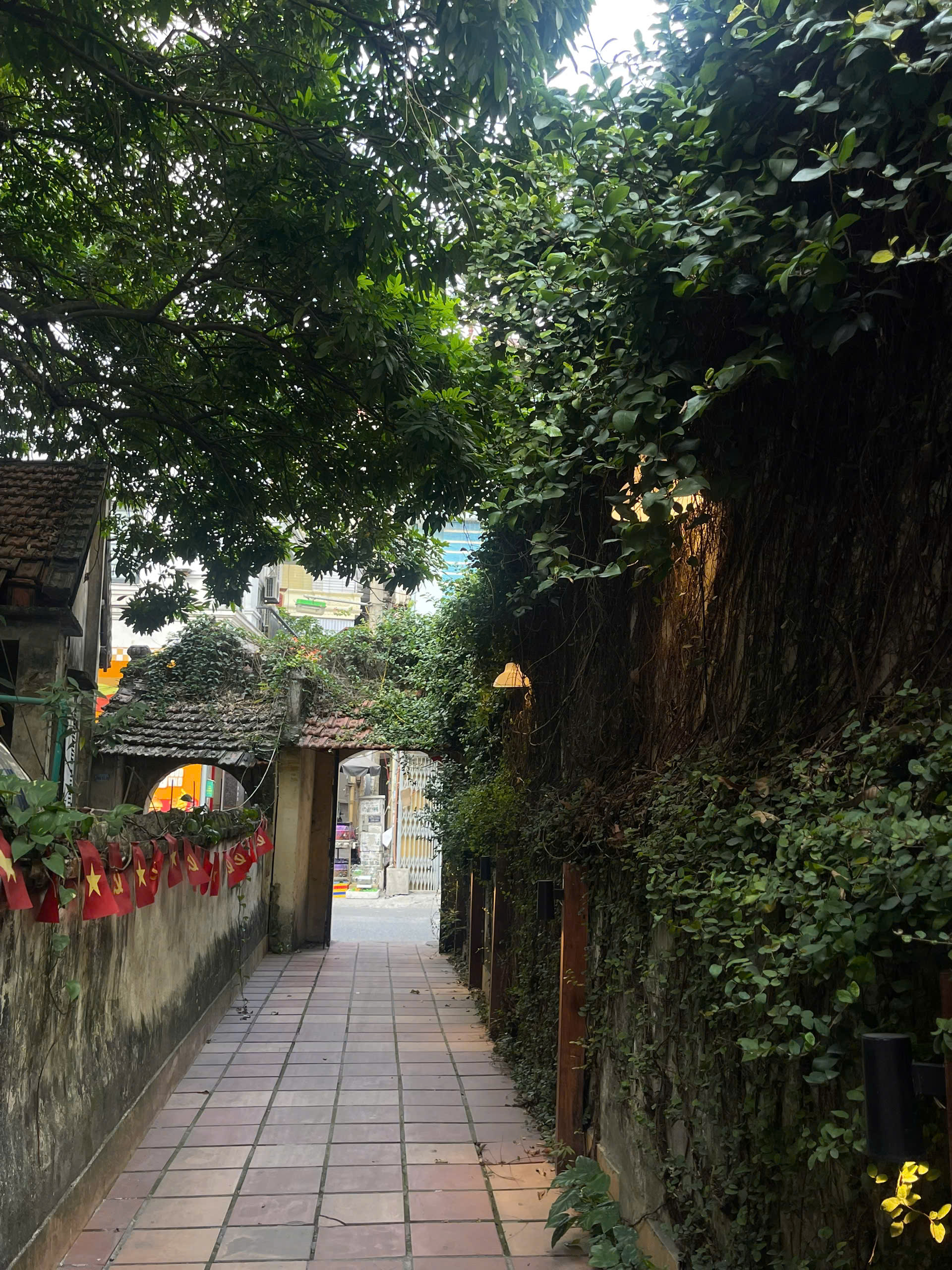 z7364091157807_b50990d73a7db92e9e8646aa88d001eb