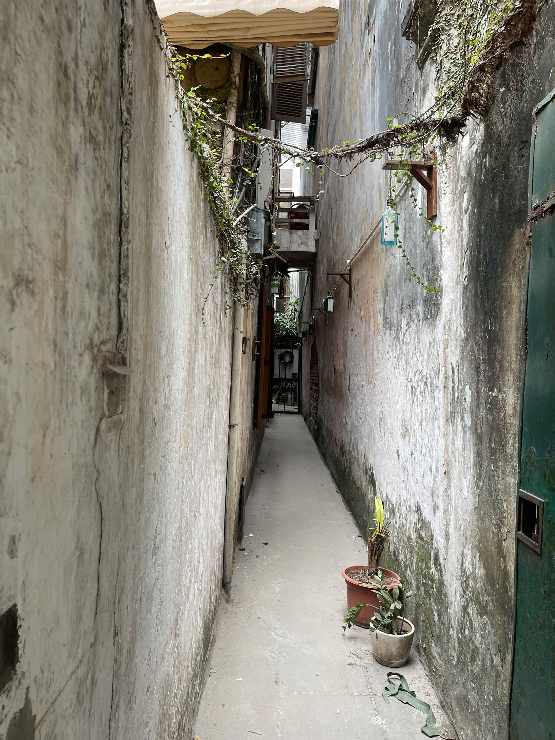 z7402835536924_7383726fcf1e48651c5bf84920ee9dae